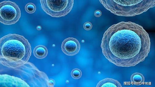 康立明生物啟動輔導,idg資本 鼎暉投資等為主要投資方