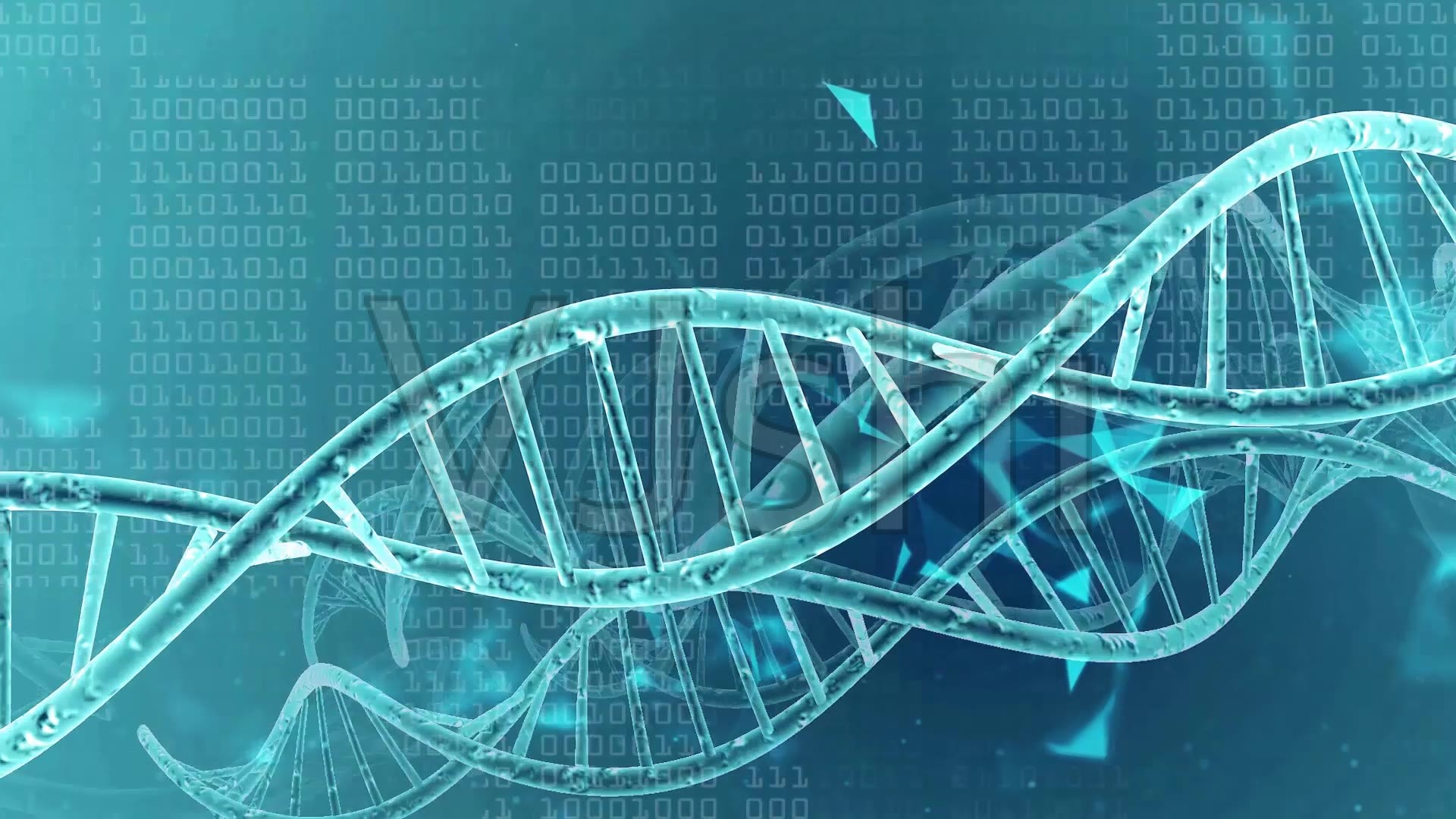 基因醫(yī)藥生物科技科學(xué)_1920X1080_高清視頻素材下載(編號(hào):3431249)_實(shí)拍視頻