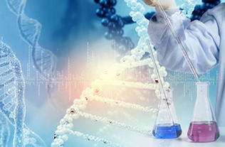 蘇州瑞安生物科技致力于我國生物醫(yī)藥