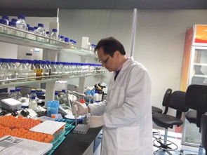 斯澳生物科技完成a輪1億元融資